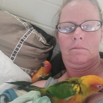 Arizona Parrots - Pet Stores Near Me - Tucson, Arizona Arizona Parrots - Pet Stores Near Me - Tucson, Arizona