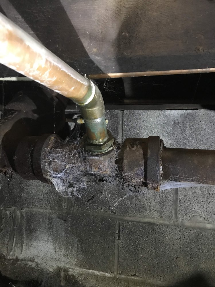 Slide of Royally Flushed Plumbing