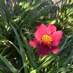 Paradise Garden Supply