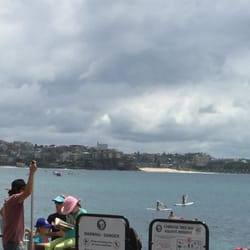 Cabbage Tree Bay Eco Sculpture Walk - A beautiful sunny Sunday to be on a peddle board...or just to watch young bodies doing that! Feb 01, 2015