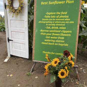 Schilter Family Farm - The rules - Pumpkin Patches Near Me - Lacey, Washington Schilter Family Farm - The rules - Pumpkin Patches Near Me - Lacey, Washington