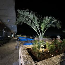 Canopy by Hilton Cancun La Isla - Hot tub and pool