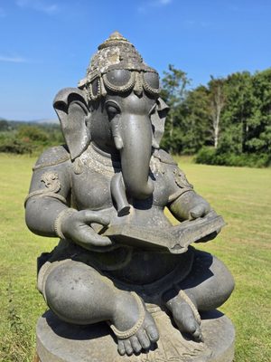 Victor's Way by null