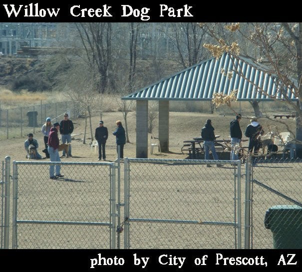 Social spots from Willow Creek Dog Park