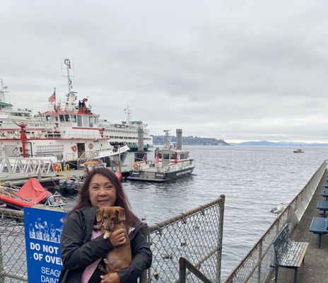 Ivar's Acres of Clams by null