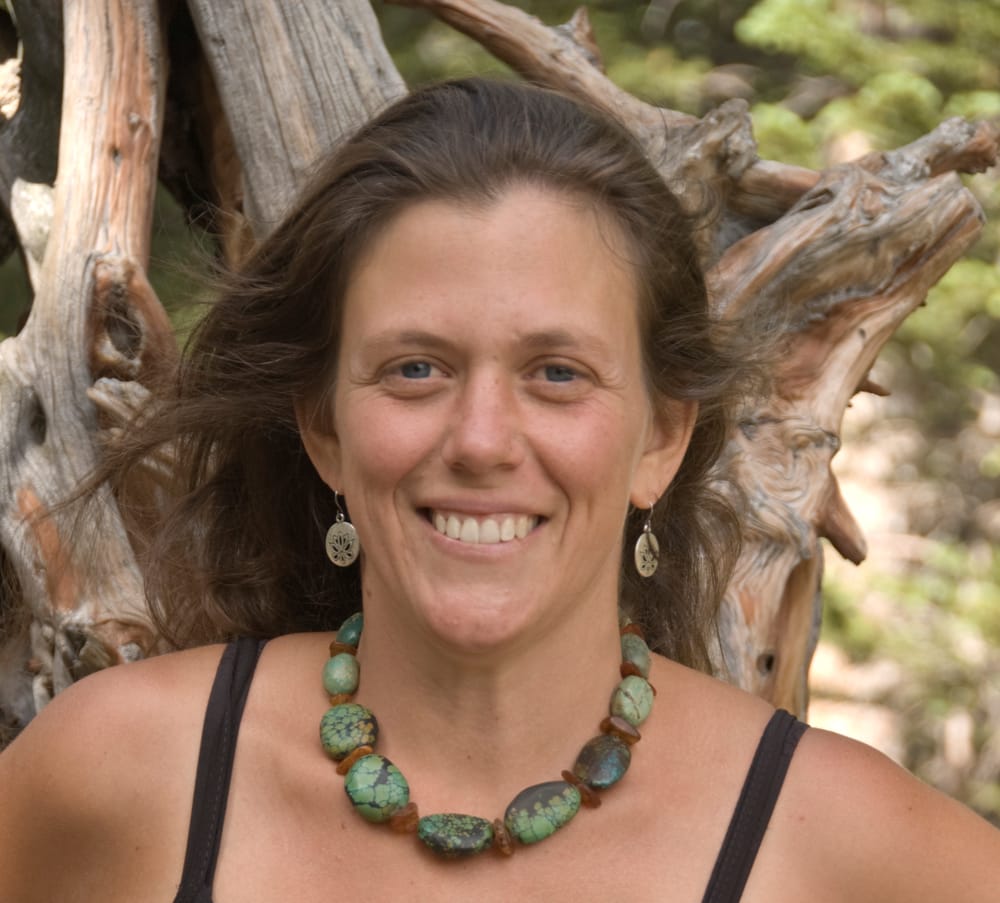 ROOTS & BRANCHES ACUPUNCTURE 1120 Alpine Ave, Boulder, Colorado Acupuncture Phone Number