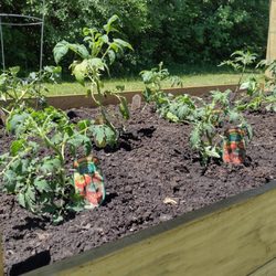 Village Green Home & Garden