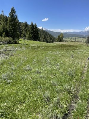 Jake's Horses Inc. by null