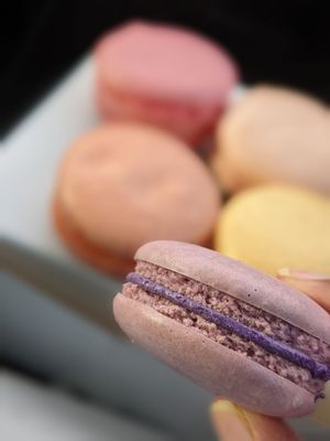 Macadons Cafe Renton by null