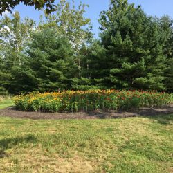 Stonebridge Farm Landscaping & Nursery - Late summer flowers are gorgeous!