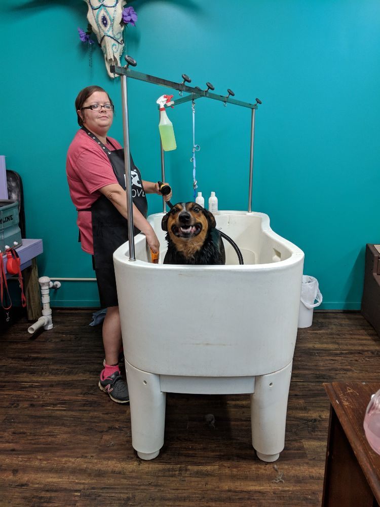 LOVING TOUCH GROOMING SALON Updated June 2024 11 Photos 145 E Front St, Killbuck, Ohio