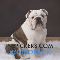New England Pickers and Debris Removal - This our Junk Buddy Goes With us In The Truck