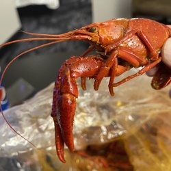 Yummy Crab - Spokane - Crawfish Boil