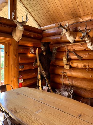 Icicle Ridge Winery by null