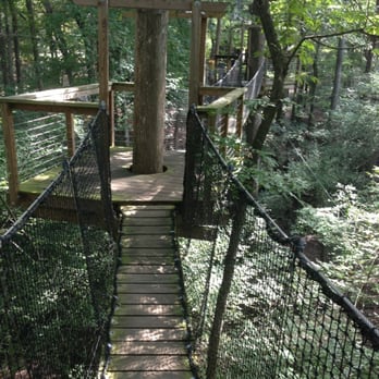 Lynches River County Park - The Bridge Walk - Parks Near Me - Coward, South Carolina Lynches River County Park - The Bridge Walk - Parks Near Me - Coward, South Carolina