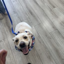 Happy Luna Happy Luna