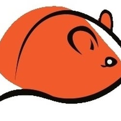 Dormouse Heating Services - Dormouse Heating Services Ltd