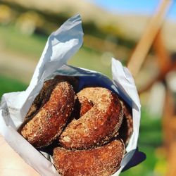 Thompson's Farm Market - Pumpkin donuts!