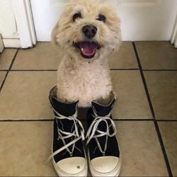 Zumiez - Zumiez shoes