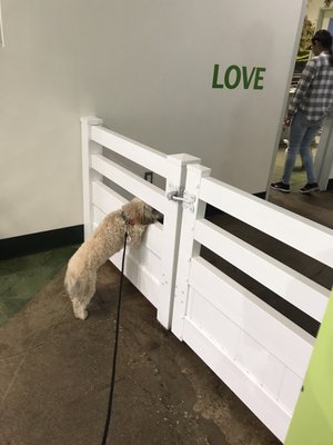 Citydog! Club by null