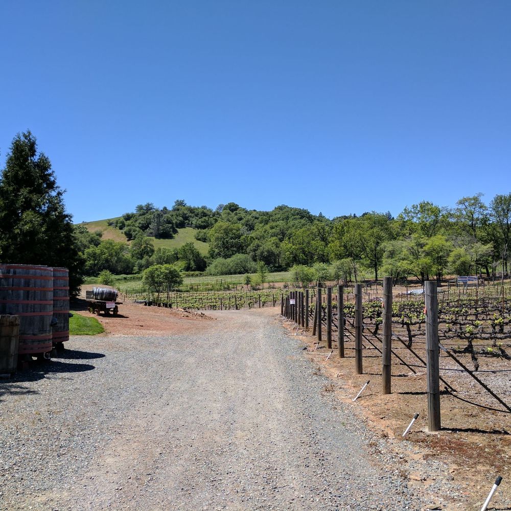 Mt Vernon Winery - Wineries Near Me - Auburn, California Mt Vernon Winery - Wineries Near Me - Auburn, California