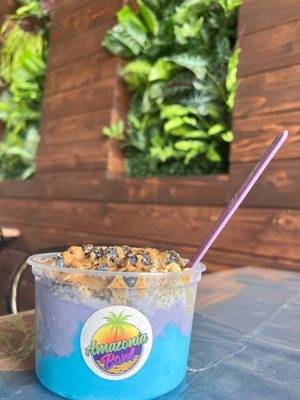 Amazonia Bowl by null