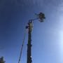 Photo of A-Class Tree Service
