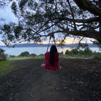 Hippie Tree - Swing! - Hiking Near Me - Tiburon, California
