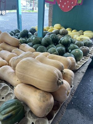 Sonoma Valley Fruit Basket by null