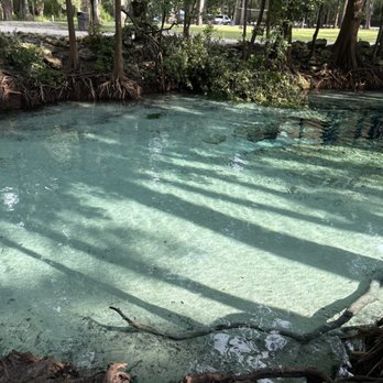 Ginnie Spring - Rafting/Kayaking Near Me - High Springs, Florida