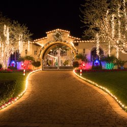 The Christmas Team - Ground, Trees, Trim