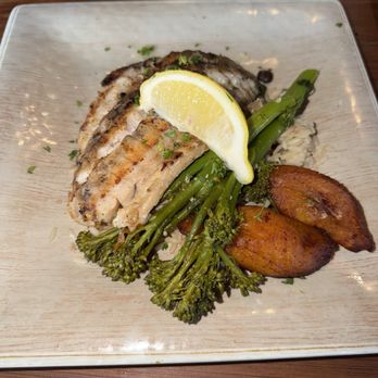 Salt Shack On The Bay - Golden Tail fish - Seafood Near Me - Tampa, Florida Salt Shack On The Bay - Golden Tail fish - Seafood Near Me - Tampa, Florida
