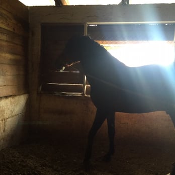 Jerry Dale Equestrian Center - Horse Boarding Near Me - Miami, Florida
