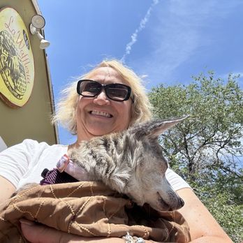 Tia B's La Waffleria - The Mrs. with Coco - Breakfast & Brunch Near Me - Albuquerque, New Mexico Tia B's La Waffleria - The Mrs. with Coco - Breakfast & Brunch Near Me - Albuquerque, New Mexico