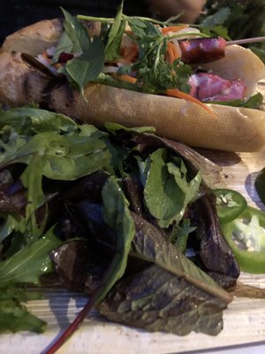 Skull & Crown Trading Co. by null