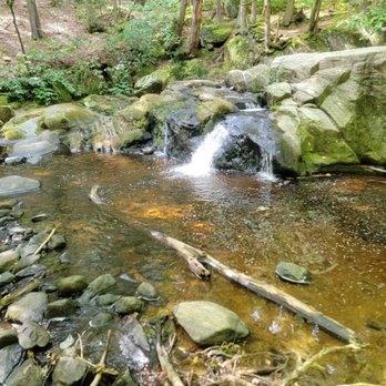 Enders State Forest - Parks Near Me - Granby, Connecticut