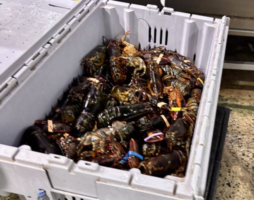 Harbor Fish Market by null