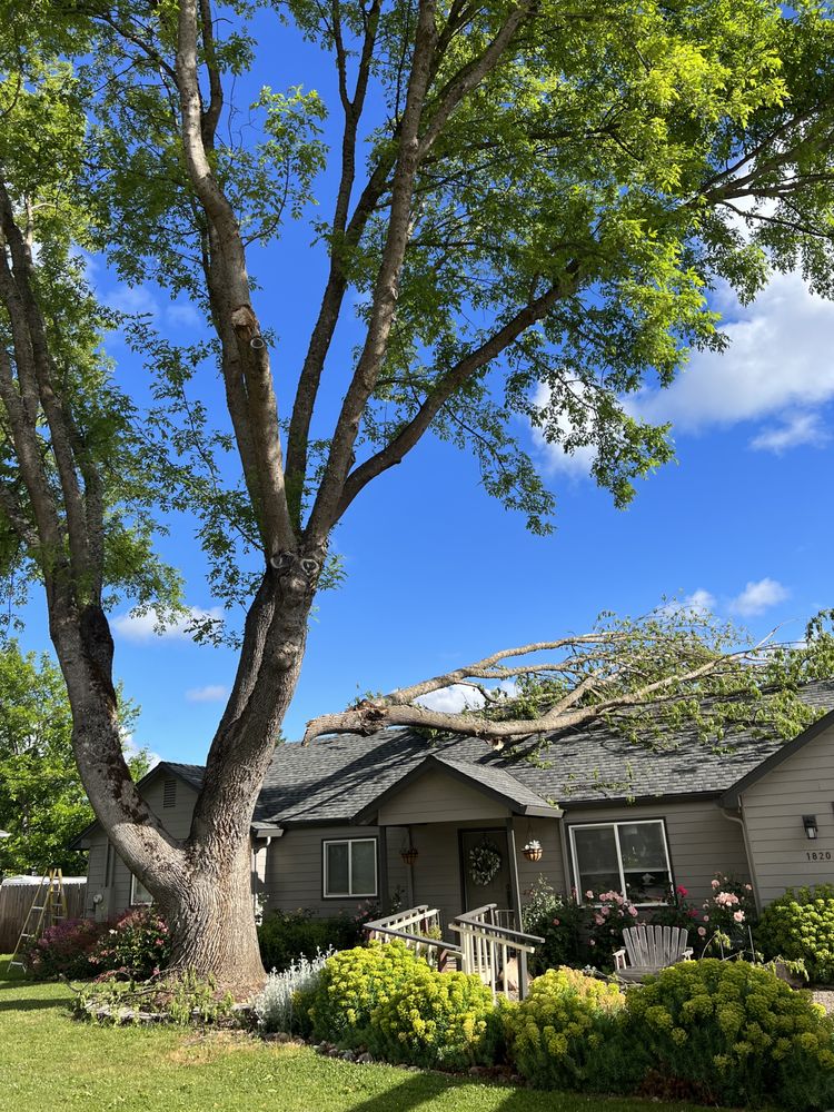 SOUTHERN OREGON YARD & GARDEN CARE 21 Photos Central Point, Oregon