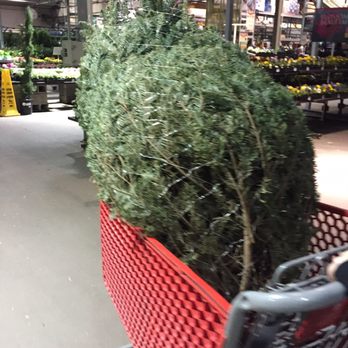 Lowe's Home Improvement - Our Christmas tree! - Hardware Stores Near Me - Tucson, Arizona Lowe's Home Improvement - Our Christmas tree! - Hardware Stores Near Me - Tucson, Arizona