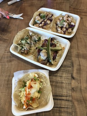Not Not Tacos - Little Italy by null