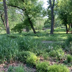 Five Senses Gardens