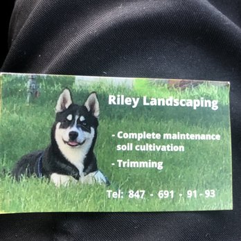 Riley Garcia Landscaping - a dog laying in the grass - Landscaping Near Me Riley Garcia Landscaping - a dog laying in the grass - Landscaping Near Me