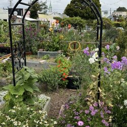 Santa Monica Community Garden