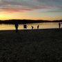 Photo of Blue Marsh Lake