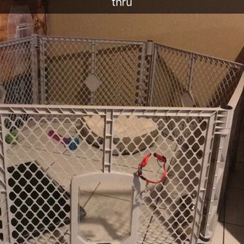 petco playpen