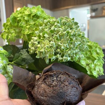 MRKT Cafe + Cater - Double chocolate muffin - Cafes Near Me - Burbank, California MRKT Cafe + Cater - Double chocolate muffin - Cafes Near Me - Burbank, California