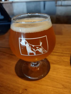 Junkyard Brewing Company by null