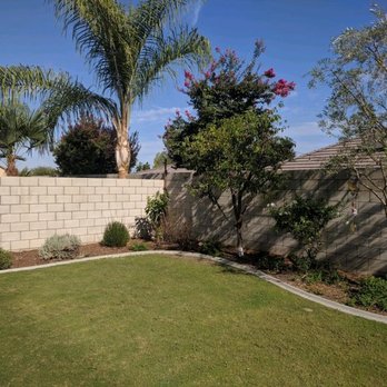 Salas Tree Service - Removed two cypruses from the wall that were diseased without breaking my sprinkler line. Trimmed my beloved peach tree and olive tree. - Tree Services Near Me - Bakersfield, California Salas Tree Service - Removed two cypruses from the wall that were diseased without breaking my sprinkler line. Trimmed my beloved peach tree and olive tree. - Tree Services Near Me - Bakersfield, California