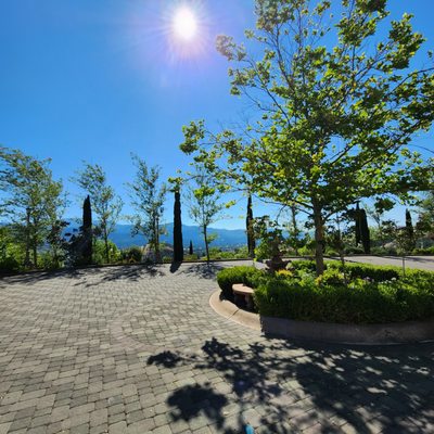 Belle Fiore Winery by null