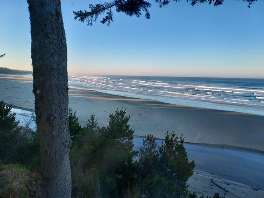 Starfish Point by null